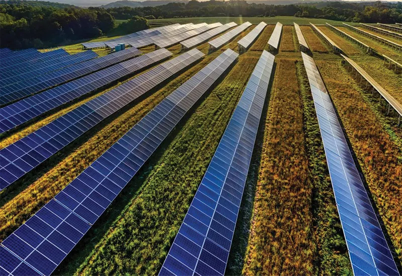 sustainable future
